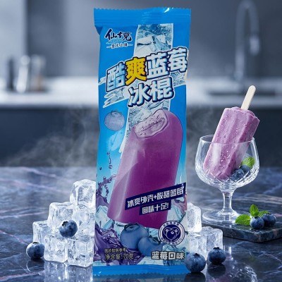 Blueberry Popsicle